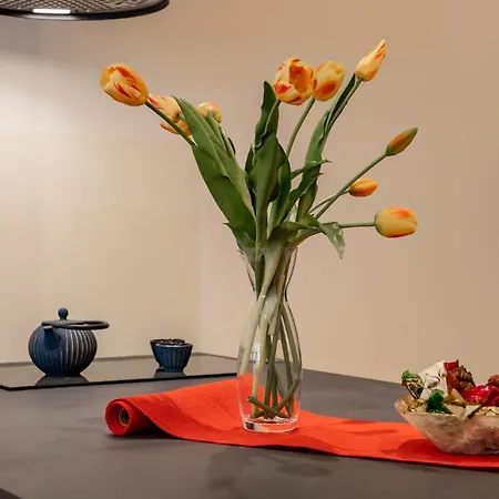 Appartement Loft Marina *